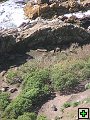 thn_The Catlins Coast 017.jpg